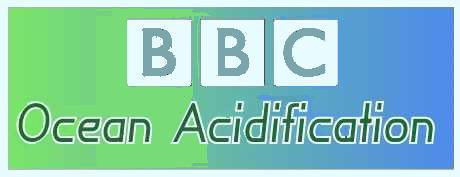 BBC search results for ocean acidification